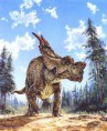 /album/fotogalerij/einiosaurus58-jpg/