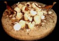 /album/fotogalerij/orodromeus-nest-jpg/