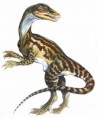 /album/fotogalerij/staurikosaurus-dinosaurs-28339816-1314-1600-jpg/